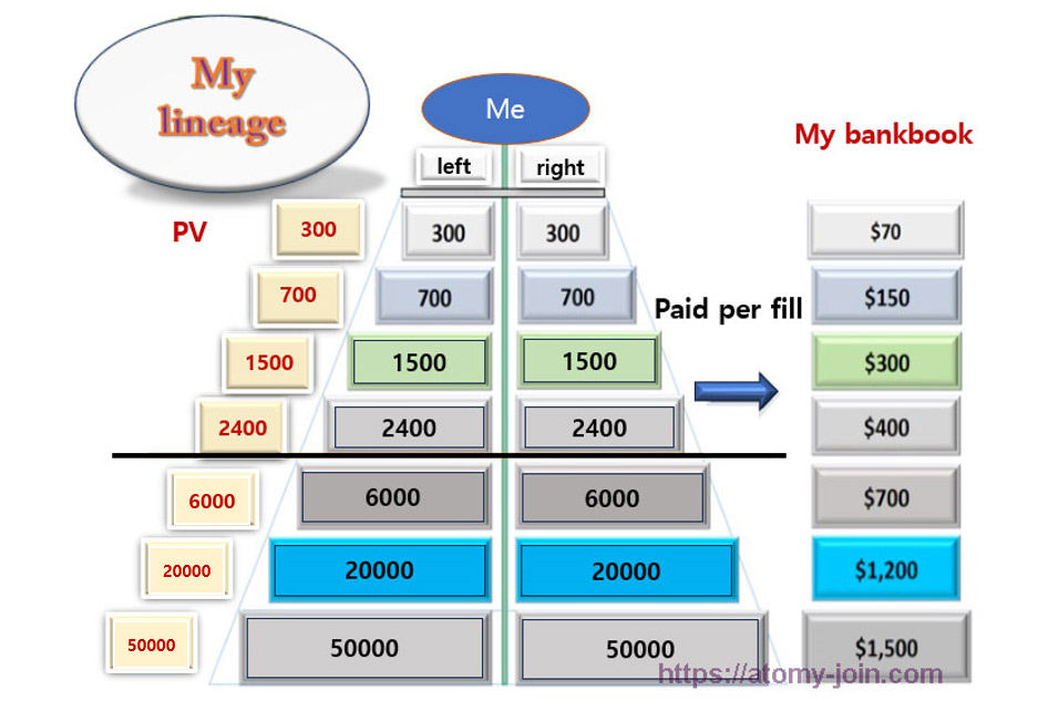 atomyjoin_My Line Organization Chart